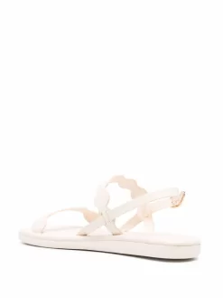 Women Ancient Greek Sandals Afros Scalloped-strap Sandals -Ancient Greek 17165231 34737064 1000