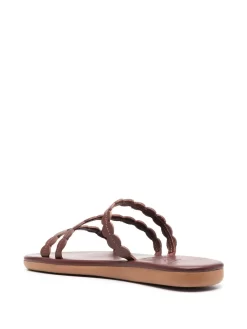 Women Ancient Greek Sandals Oceanis Strap Sandals 8 Women Ancient Greek Sandals Oceanis Strap Sandals -Ancient Greek 18978819 41755621 1000